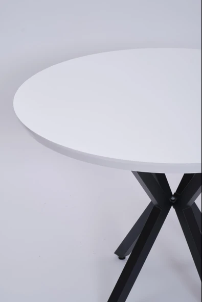Göksu Yuvarlak Lak Panel Mutfak Masası 100cm - 5