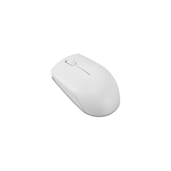 300 1000 DPI Mouse GY51L15677