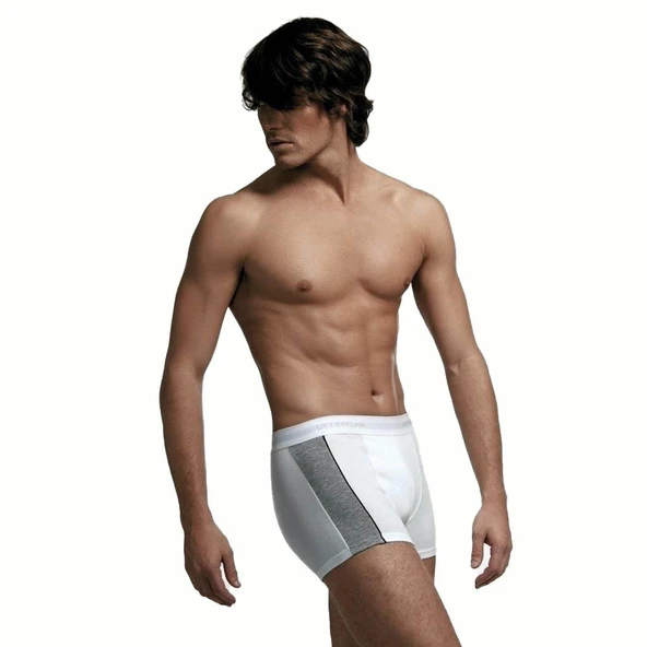 3 Adet Çift Kaplan Erkek Elastanlı Biyeli Boxer 850