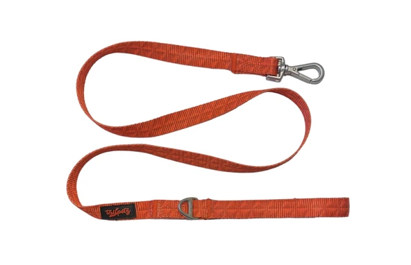 Tailpetz Prism Köpek Gezdirme Kayışı 120 cm x 2 cm - 2