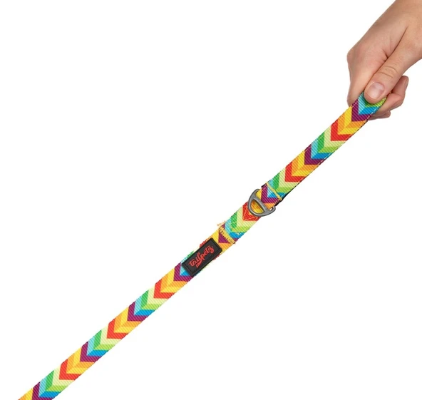 Tailpetz Rainbow Köpek Gezdirme Kayışı 120 cm x 2 cm - 3