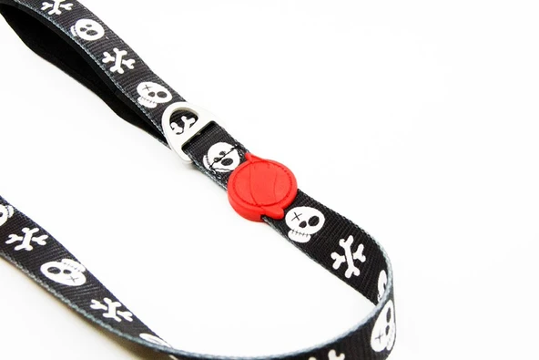 Tailpetz Boo Köpek Gezdirme Kayışı 120 cm x 2 cm - 2