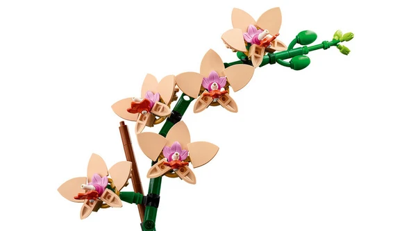 LEGO Botanicals Mini Orkide 10343 - 18+ Çiçek Model Yapım Seti (274 Parça) - 6
