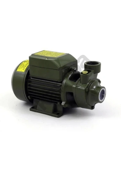 KUZGUN TİCARET Style Qb60 0.5 Hp Elektrikli Su Dinamosu Kuzgun Ticaret