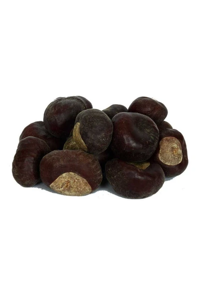 KUZGUN TİCARET At Kestanesi Meyvesi Doğal 1000 Gr Paket - 1
