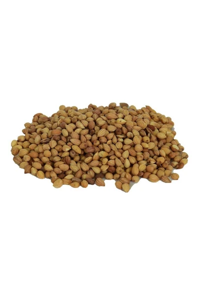 KUZGUN TİCARET Mahlep Doğal Tane 100 Gr Paket - 1