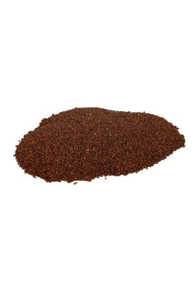 KUZGUN TİCARET Doğal Tere Tohumu 100 Gr Paket - 1