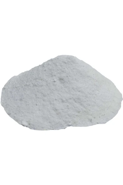 KUZGUN ONLİNE SHOP Salça Domates Turşu Koruyucu Toz Salisilik Asit 100 Gr Paket