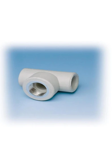 KUZGUN ONLİNE SHOP Ege Yıldız PPRC 25X1/2 Dişi Te Gri