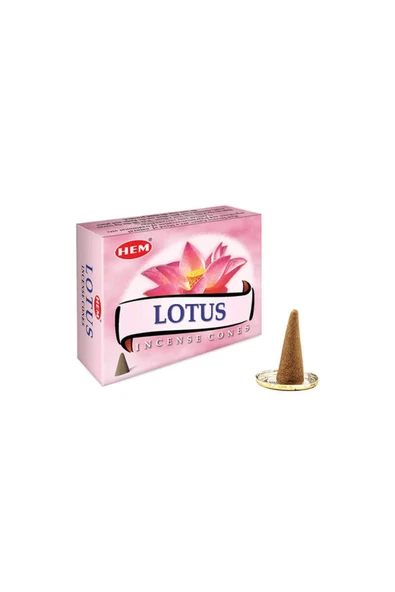 KUZGUN ONLİNE SHOP Lotus Cones ( Lisinya )