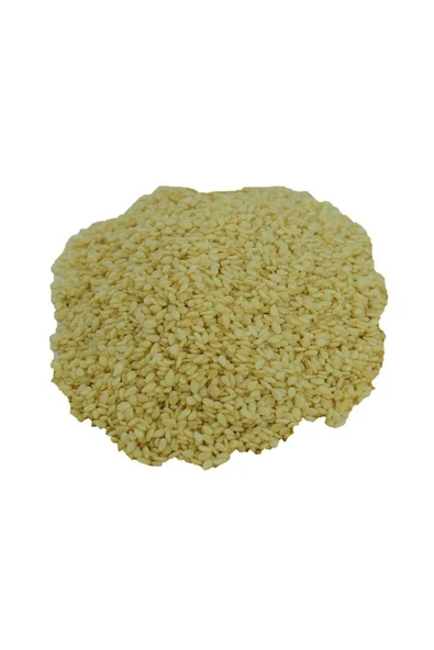 KUZGUN ONLİNE SHOP Susam Beyaz 100 Gr Paket