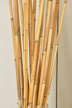 Bambu Bitki Destek Çubuğu 100cm 1 ADET
