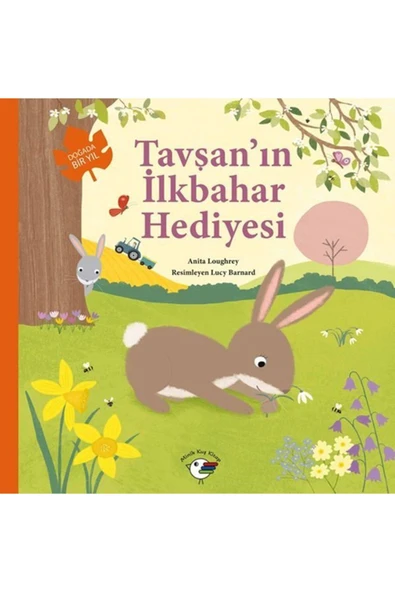 KUZGUN TİCARET Tavşan ın İlkbahar Hediyesi Doğada Bir Yıl