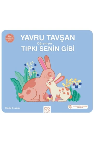 FEİFEİ Yavru Tavşan Öğreniyor Tıpkı Senin Gibi