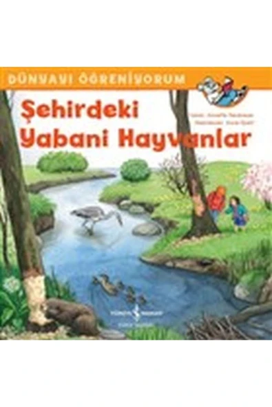KUZGUN TİCARET Şehirdeki Yabani Hayvanlar - Dünyayı Öğreniyorum