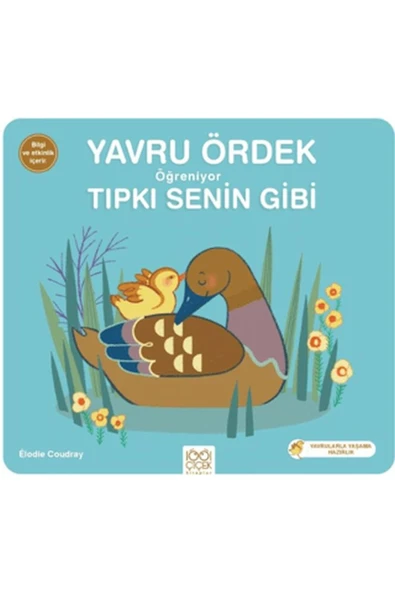 FEİFEİ Yavru Ördek Öğreniyor Tıpkı Senin Gibi