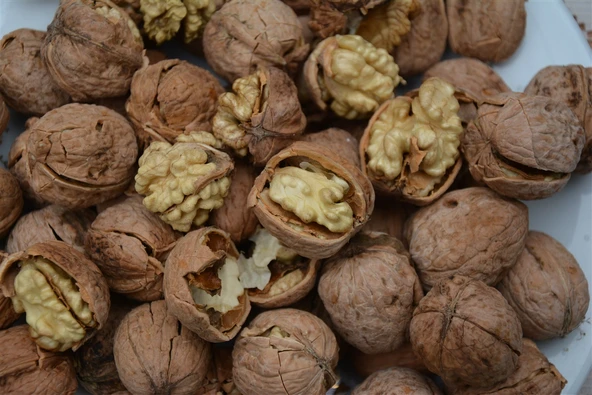 İthal Ceviz (Kg) ürün görseli