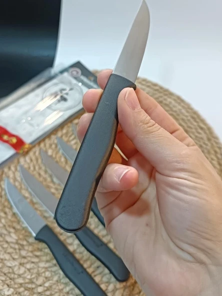 Sürdövbisa 61010 6'lı Meyve Seti (Sivri Uç ) Siyah - 5