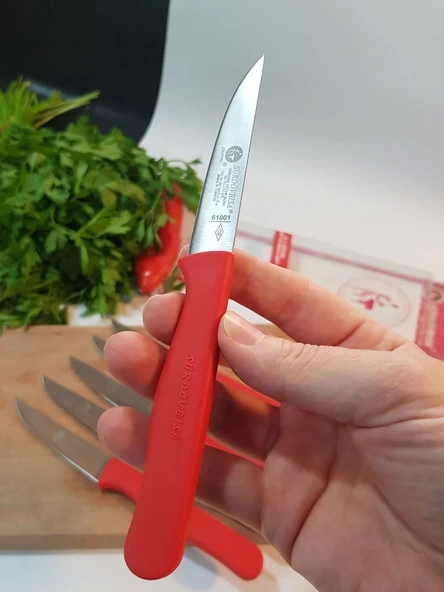 Sürdövbisa 61010 6'lı Meyve Seti (Sivri Uç ) Kırmızı - 3