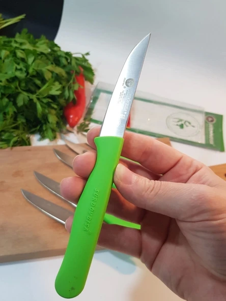 Sürdövbisa 61010 6'lı Meyve Seti (Sivri Uç ) Yeşil - Resim 3