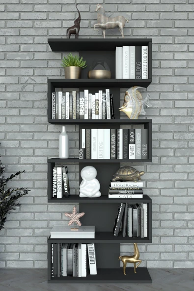 Paris Duvara Monteli Dekoratif Kitaplık Siyah - Resim 11