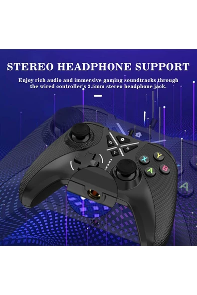 PC Kablolu USB Gamepad Windows 10/11 Uyumlu 3,5 mm Ses Jaklı Makro ve Turbo Tuşlu Oyun Kolu - 6