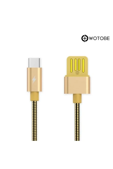 Usb Type-c Çelik Spiralli Şarj Data Kablosu