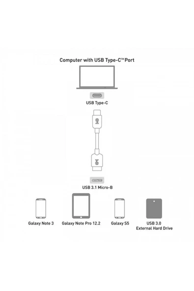 17cm Type-c Micro B Çevirici Dönüştürücü - 2