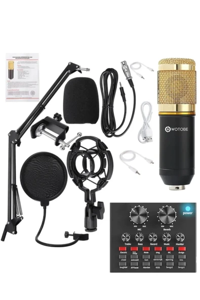Filtreli Condenser Mikrofon Ses Kartı Stand Set