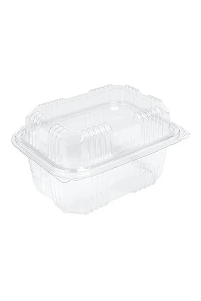 Alsepeteavm  Sızdırmaz Kendinden Kapaklı Plastik Kap - Peynir Kabı 500 Gr (100'lü)