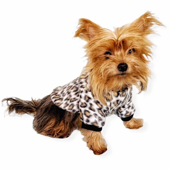 Leopar Softie Sweat Köpek Kıyafeti