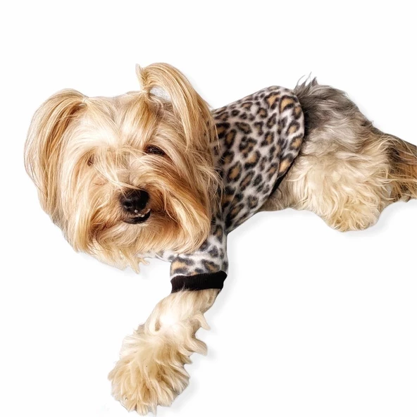 Leopar Softie Sweat Köpek Kıyafeti - 2