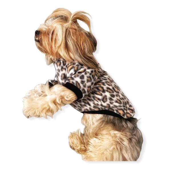 Leopar Softie Sweat Köpek Kıyafeti - 3