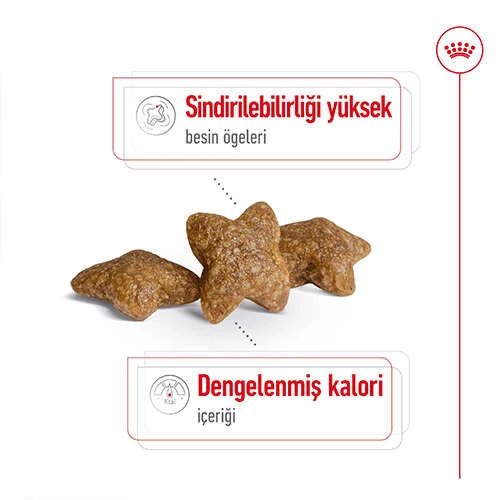 Royal Canin Mini Adult 2 kg Küçük Irk Yetişkin Köpek Maması - 2