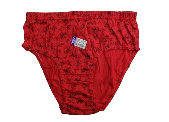 12 Adet Sedef Yıldız Bayan Desenli Empirme Külot 1023 - Resim 4