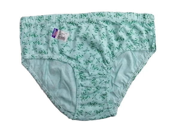 12 Adet Sedef Yıldız Bayan Büyük Beden Desenli Empirme Külot 1023 - Resim 4