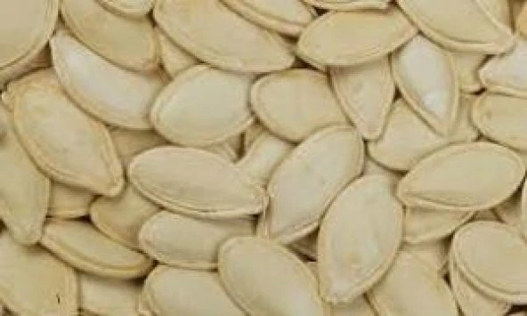 KABAK ÇEKİRDEĞİ ÇİĞ 1 KG