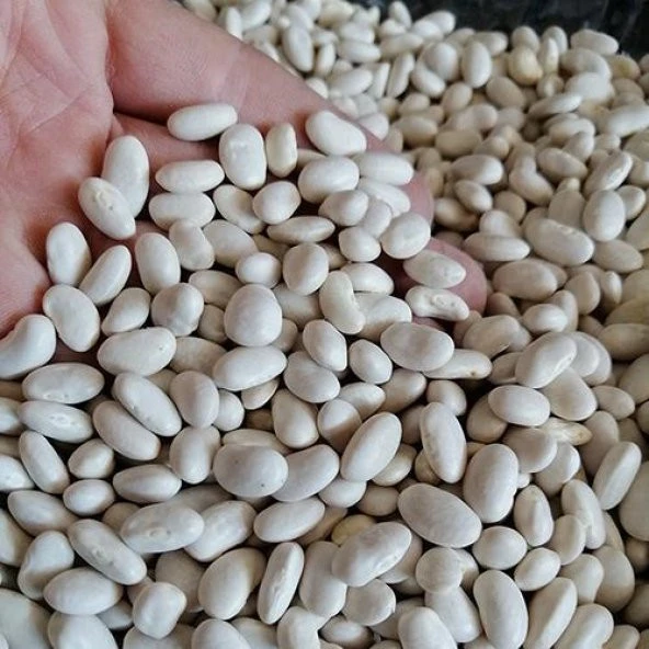 Bozkırım Kuru Fasulye 1kg (Yeni Mahsül - Konya Yöresi)