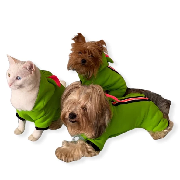 Shipy Pink Stripe Kulaklı Köpek Tulumu Kıyafeti - 6