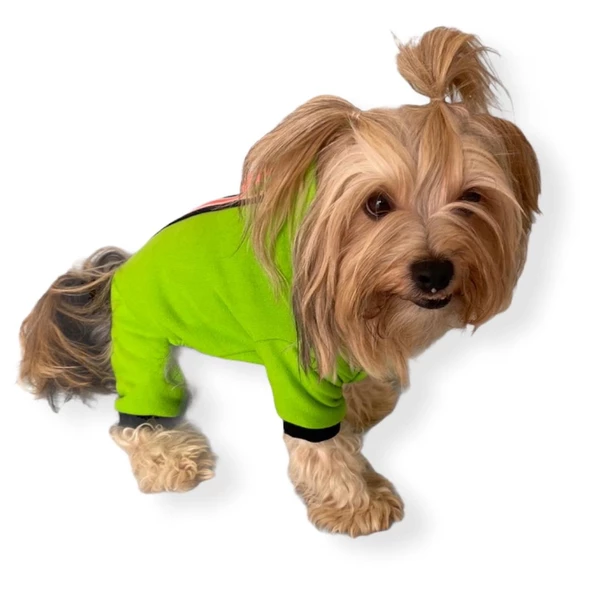 Shipy Pink Stripe Kulaklı Köpek Tulumu Kıyafeti - 2