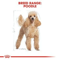 Royal Canin Poodle Adult 3 kg Yetişkin Köpek Maması - 4