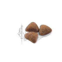 Royal Canin Indoor 2 kg Yetişkin Ev Kedisi Maması - 2