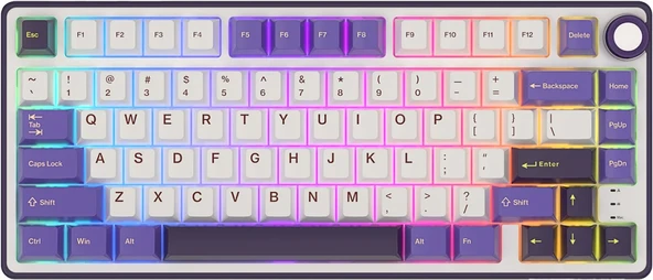 Royal Kludge R75 Blackberry Mousse RGB Kablolu Gaming Klavye (RKR75-BY-KY)