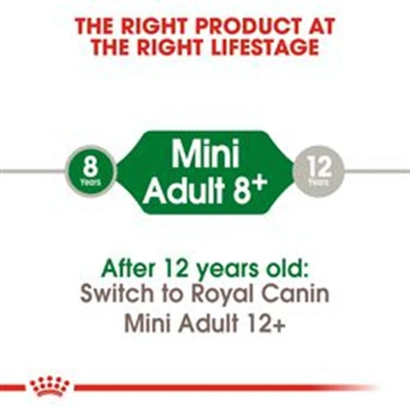 Royal Canin Mini Adult +8 2 kg Küçük Irk Yaşlı Köpek Maması - Resim 9