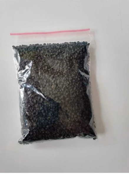 Pantech Soğan Tohumu 50 Gr