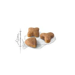 Royal Canin Sensible 33 Hassas Sindirimi olan Kediler için Mama 2 kg - 2