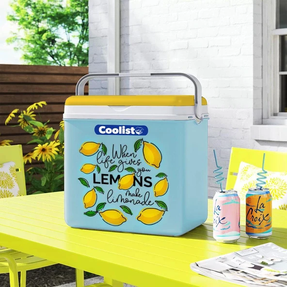 Coolist CLB24LM 24 Litre Limon Desenli Buzluk + 2 Adet 400gr. Buz Kaseti - Resim 4