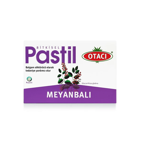 Otacı Pastil Meyanbalı 16 Pastil ürün görseli
