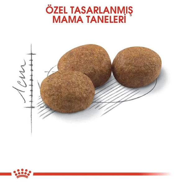 Royal Canin Sterilised 37 - 2 kg Kısırlaştırılmış Kedi Maması - 3