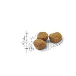 Royal Canin Indoor +7 Yaşlı Kedi Maması 1,5 kg - 2